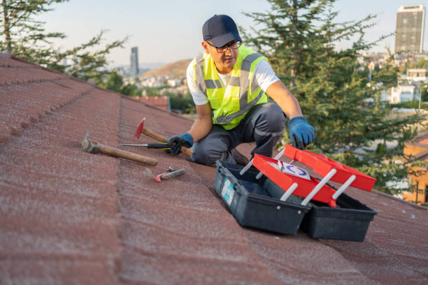 Best Dumpster Rental Services  in West Bountiful, UT